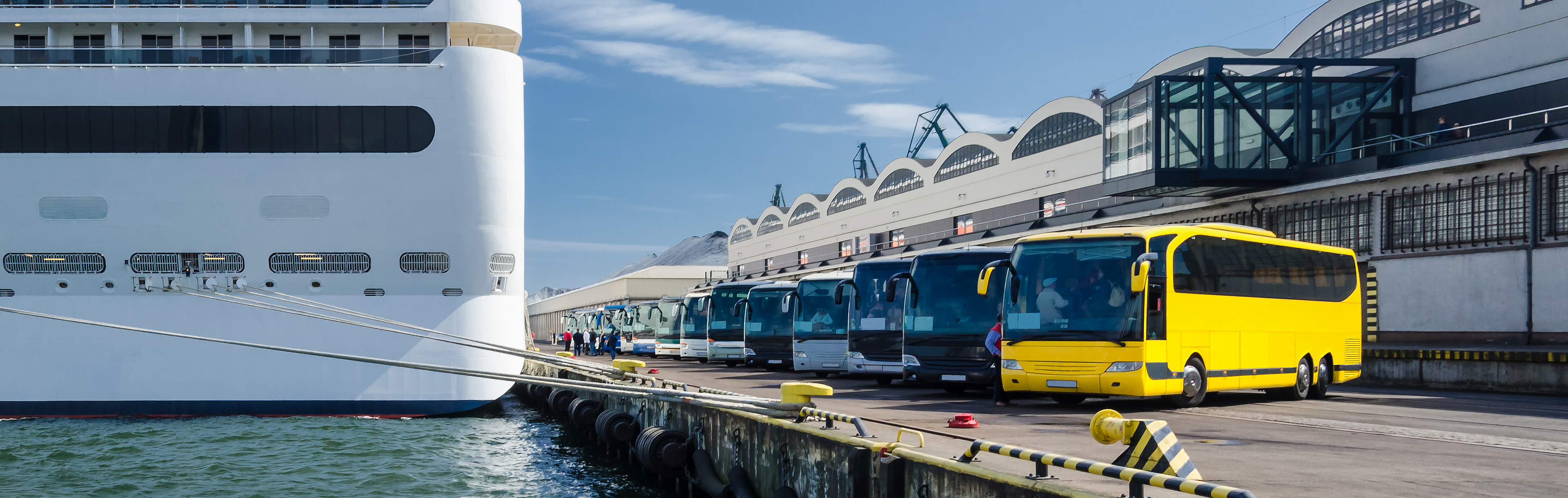 Neben einem Kreuzfahrtschiff stehen eine Reihe von Bussen bereit, um die Reisenden abzuholen.